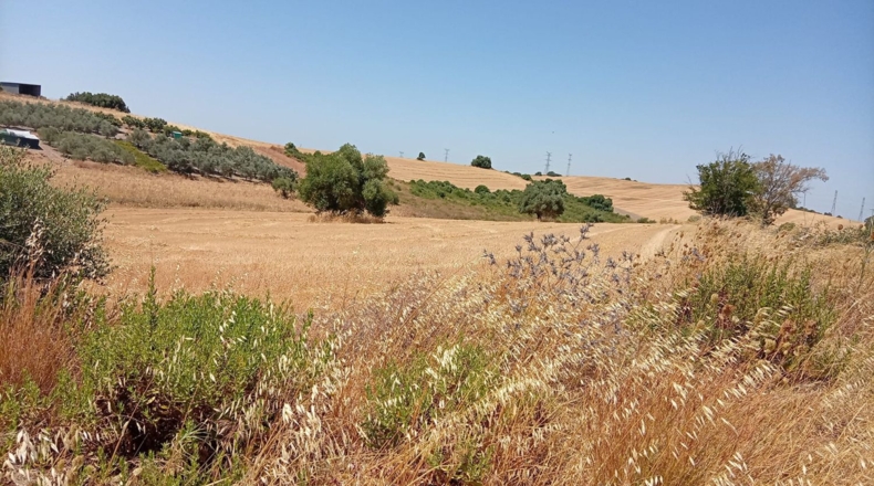 Cadiz - Arcos de la Frontera - 3000m2