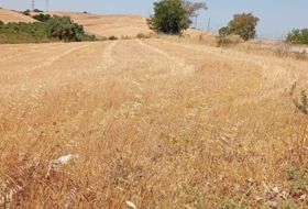 Arcos de la Frontera 3000&nbsp;м²