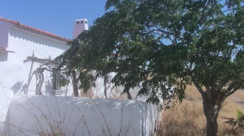 Huelva - Bollullos Par del Condado - 90092m2
