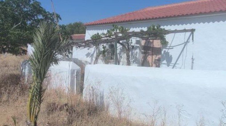 Huelva - Bollullos Par del Condado - 90092m2