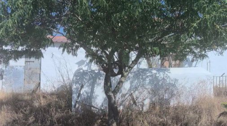 Huelva - Bollullos Par del Condado - 90092m2