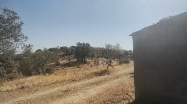 Huelva - Bollullos Par del Condado - 90092m2