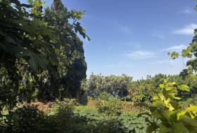 Salobreña 1530&nbsp;м²