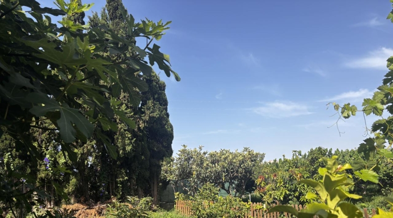 Гранада - Salobreña - 1530m2