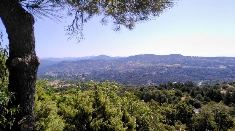 Ávila - El Tiemblo - 5600m2