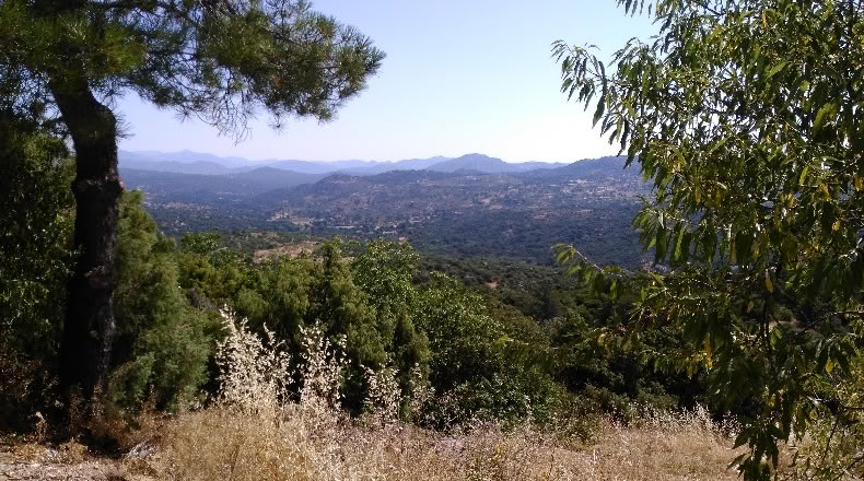 Ávila - El Tiemblo - 5600m2