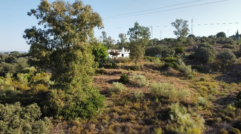 Seville - Villanueva del Río y Minas - 42200m2