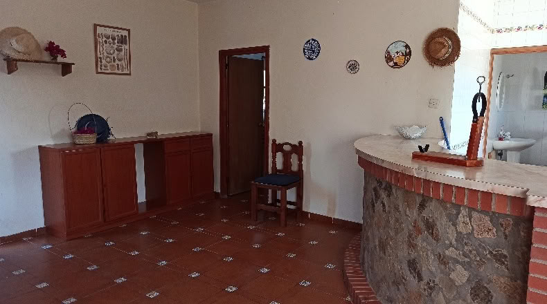 Seville - Villanueva del Río y Minas - 42200m2