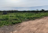 Terreno no urbanizable en venta en la Carretereta del Pontasgo, Burriana, ref: TR417844 foto