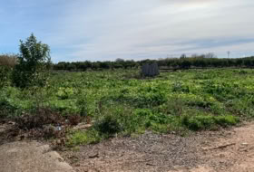 Burriana 2846&nbsp;m²