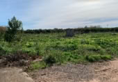 Terreno no urbanizable en venta en la Carretereta del Pontasgo, Burriana, ref: TR417844 foto