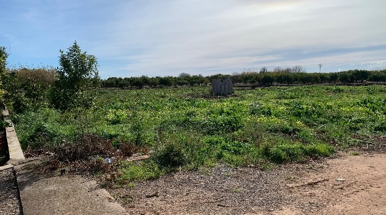 Castellón - Borriana - 2846m2