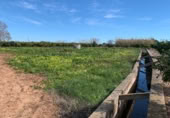 Terreno no urbanizable en venta en la Carretereta del Pontasgo, Burriana, ref: TR417844 foto