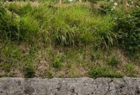 Puentedeume 1000&nbsp;m²