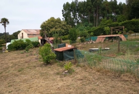 Mugardos 2717&nbsp;m²