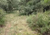 Terreno no urbanizable en venta en la Camino manso s/n, Peratallada, ref: TR417846 foto
