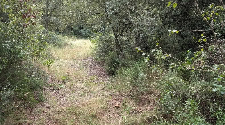 Gerona - Peratallada - 5105m2