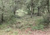 Terreno no urbanizable en venta en la Camino manso s/n, Peratallada, ref: TR417846 foto