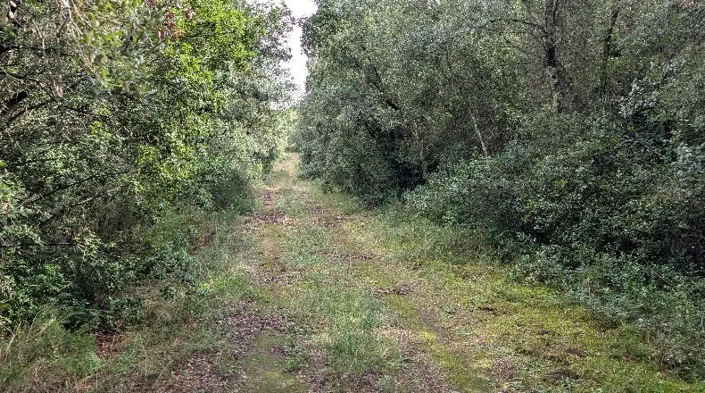 Gerona - Peratallada - 5105m2