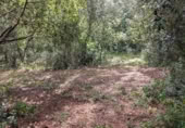 Terreno no urbanizable en venta en la Camino manso s/n, Peratallada, ref: TR417846 foto
