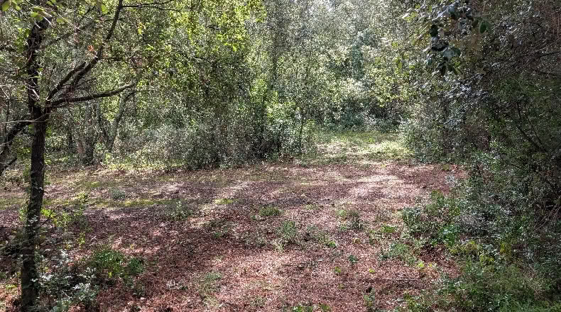 Gerona - Peratallada - 5105m2