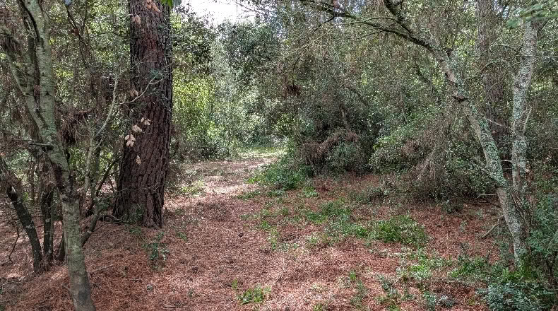 Gerona - Peratallada - 5105m2
