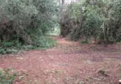 Terreno no urbanizable en venta en la Camino manso s/n, Peratallada, ref: TR417846 foto