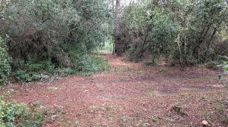 Gerona - Peratallada - 5105m2