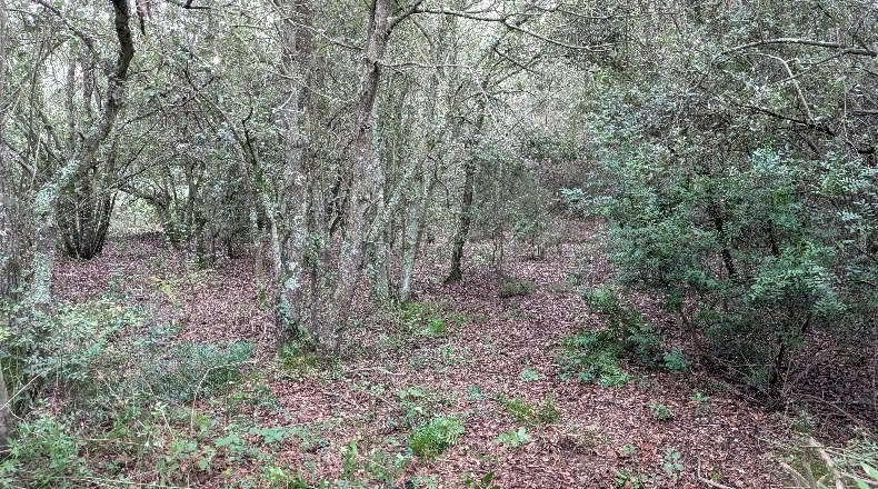 Gerona - Peratallada - 5105m2