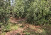 Terreno no urbanizable en venta en la Camino manso s/n, Peratallada, ref: TR417846 foto