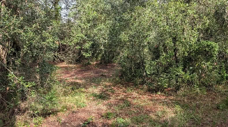Gerona - Peratallada - 5105m2