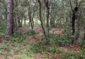 Terreno no urbanizable en venta en la Camino manso s/n, Peratallada, ref: TR417846 foto