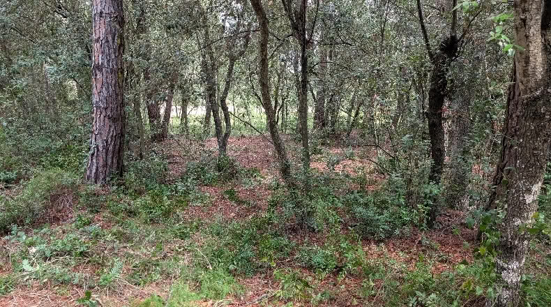 Gerona - Peratallada - 5105m2