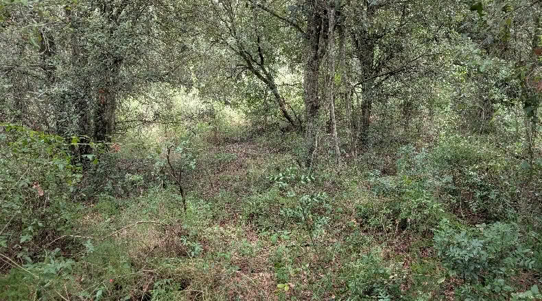 Gerona - Peratallada - 5105m2