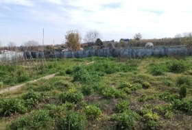 Murchante 680&nbsp;m²
