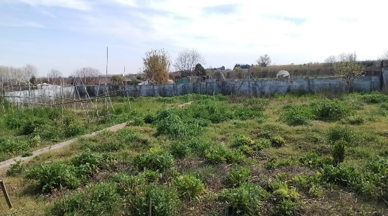 Navarra - Murchante - 680m2