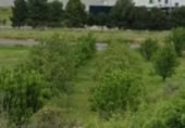 Parcela urbanizable en venta en la N-232, Agoncillo, ref: TR417849 foto
