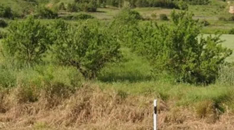 La Rioja - Agoncillo - 1282m2