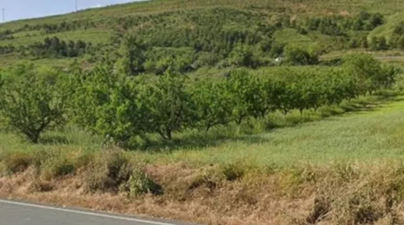 La Rioja - Agoncillo - 1282m2