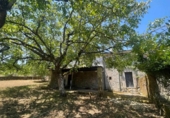 Casa de pueblo en venta en A Peroxa ref: TR419184 foto