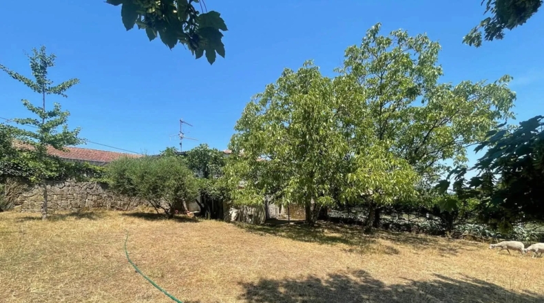 Orense - A Peroxa - 700m2
