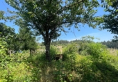 Casa de pueblo en venta en Ourense ref: TR419185 foto