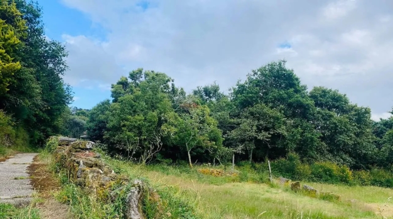 Pontevedra - Cerdedo - 2000m2
