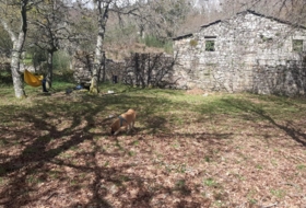 Foto 17