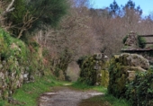 Sòl urbà en venda a Cerdedo ref.: TR419186 foto