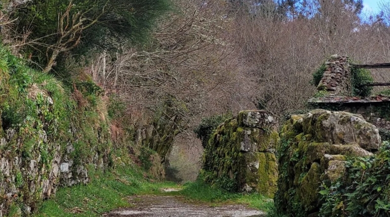 Pontevedra - Cerdedo - 2000m2