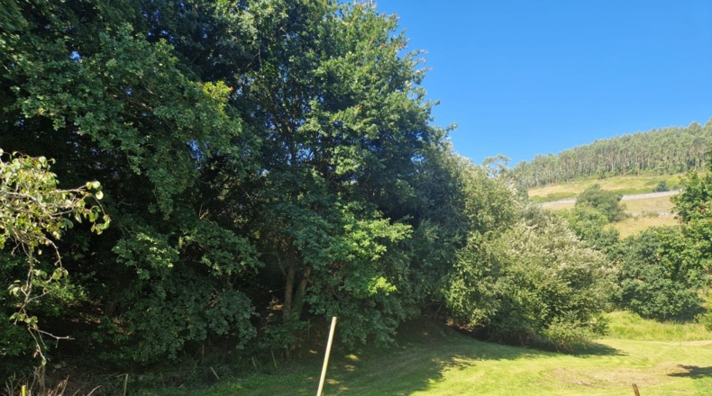 Cantabria - Escobedo de Camargo - 2809m2