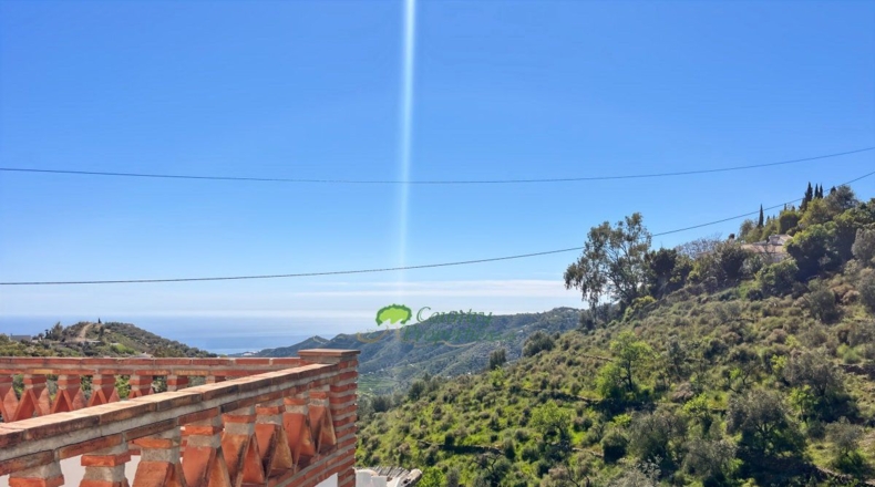 Malaga - Cómpeta - 4438m2