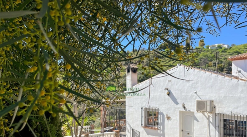 Malaga - Cómpeta - 4438m2