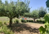 Terreno no urbanizable en venta en Miranda de Ebro ref: TR419191 foto